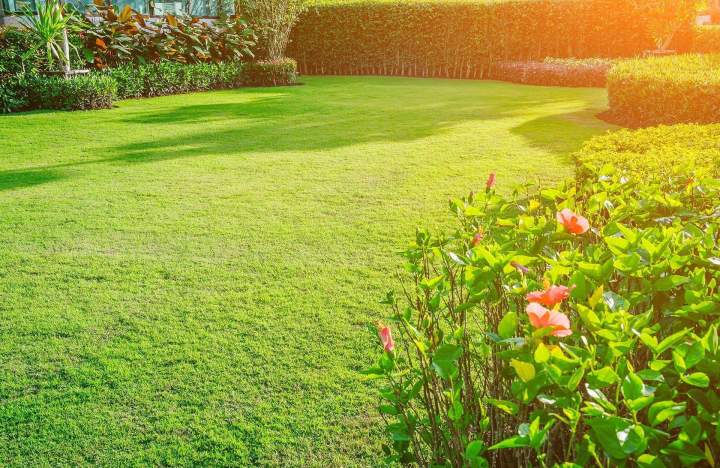 Espace vert bien entretenu Montluçon